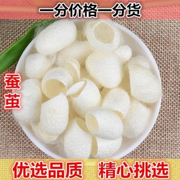 中药材茧壳蚕茧农家洗脸去黑头角质带蛹茧壳桑蚕茧