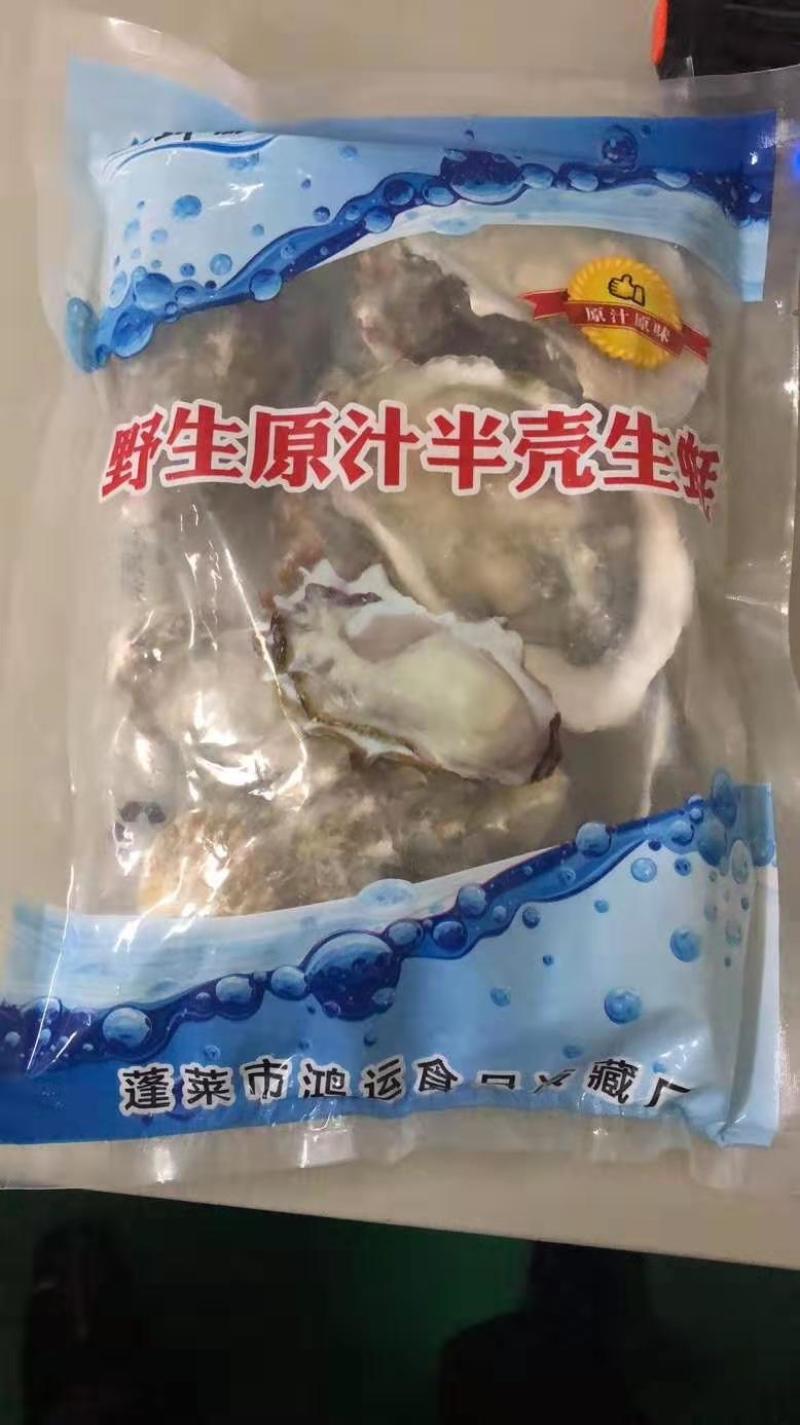 半壳生蚝鲜活速冻半壳生蚝蚝仔牡蛎海蛎子蒜蓉烧烤