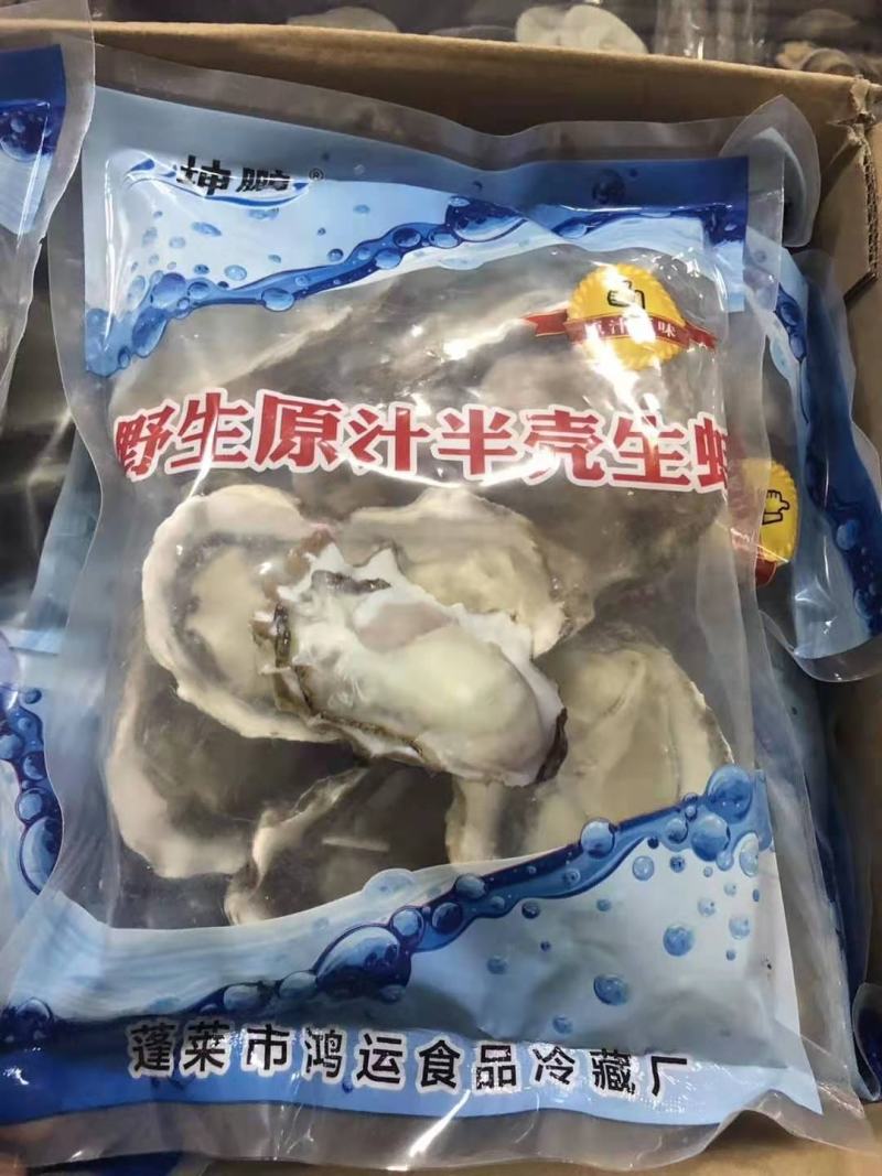 半壳生蚝鲜活速冻半壳生蚝蚝仔牡蛎海蛎子蒜蓉烧烤