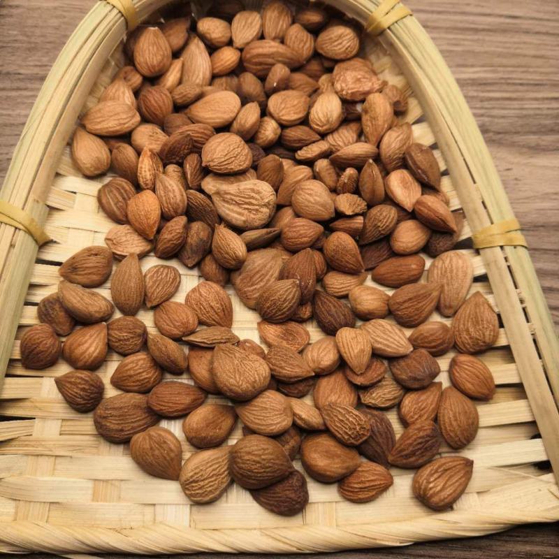 杏仁中药材批发带皮苦杏仁