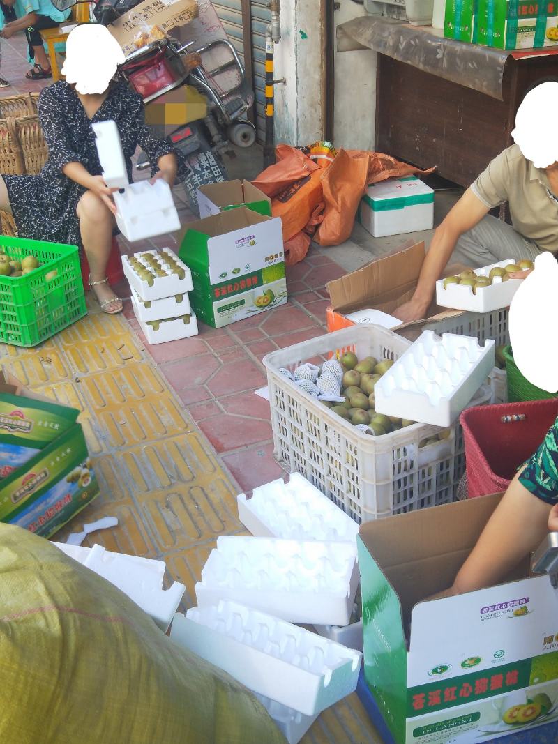 苍溪红心猕猴桃产地大果免邮直供对接电商支持一件代发
