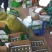 苍溪红心猕猴桃产地大果免邮直供对接电商支持一件代发