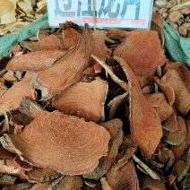 新货过江龙中药材