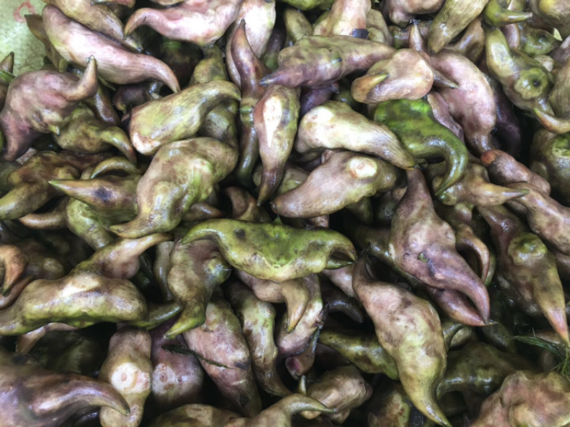 洪湖特产，湖之味莲藕，清香可口，粉不掉渣，常年提供货源