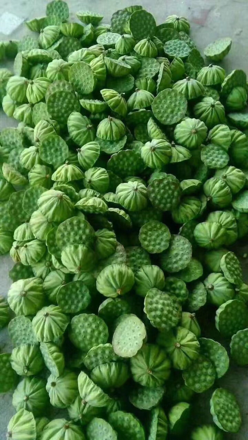 洪湖特产，湖之味莲藕，清香可口，粉不掉渣，常年提供货源