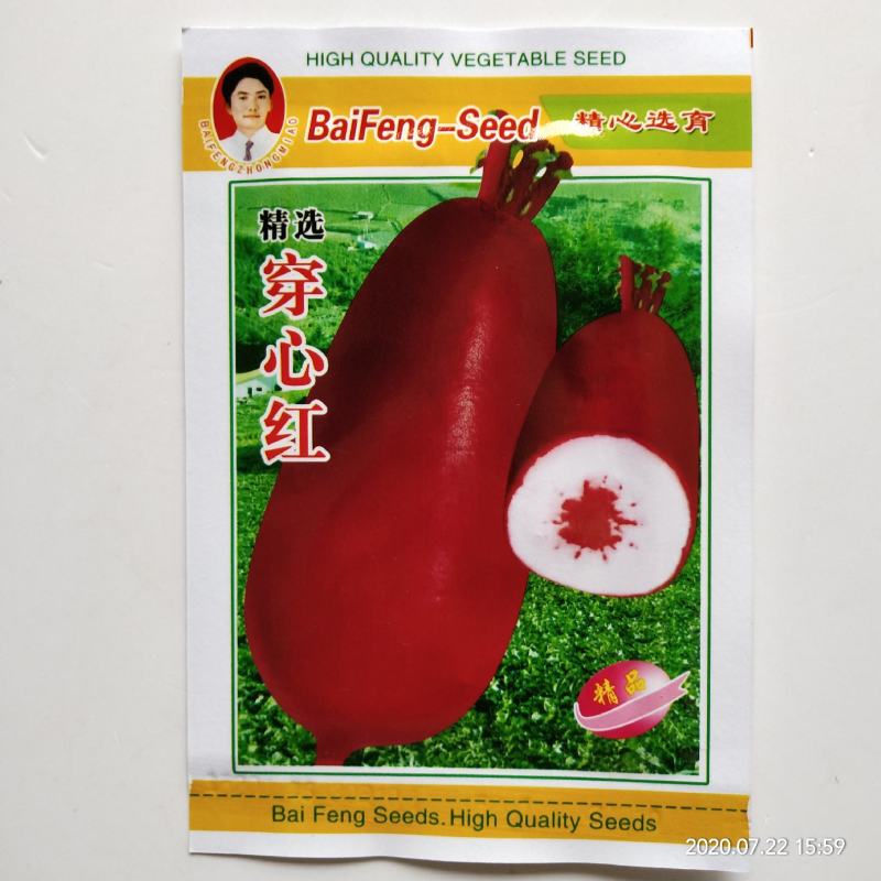 萝卜种子夏季耐热红萝卜种子杂交品种品质有保证