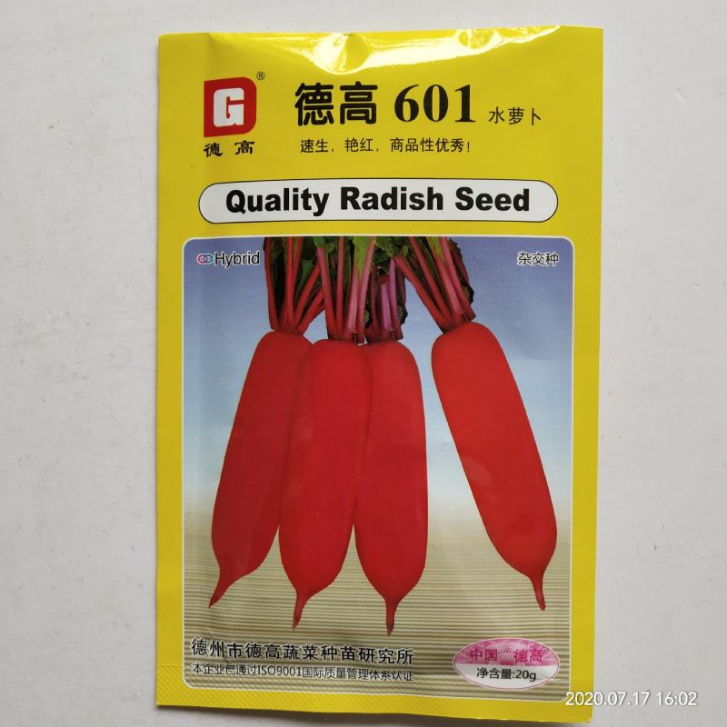 萝卜种子夏季耐热红萝卜种子杂交品种品质有保证