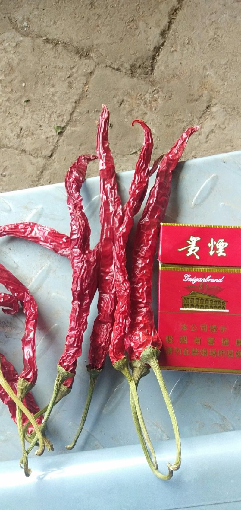 精品干辣椒，颜色好，个头大