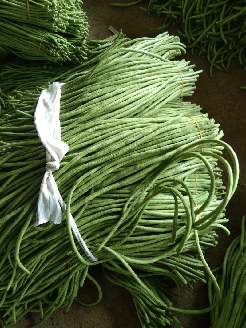青豆角，虹豆，货量一天十万斤以上