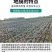 黑色地膜除草膜农用加厚黑膜大棚蔬菜果园保温保湿白膜银黑反