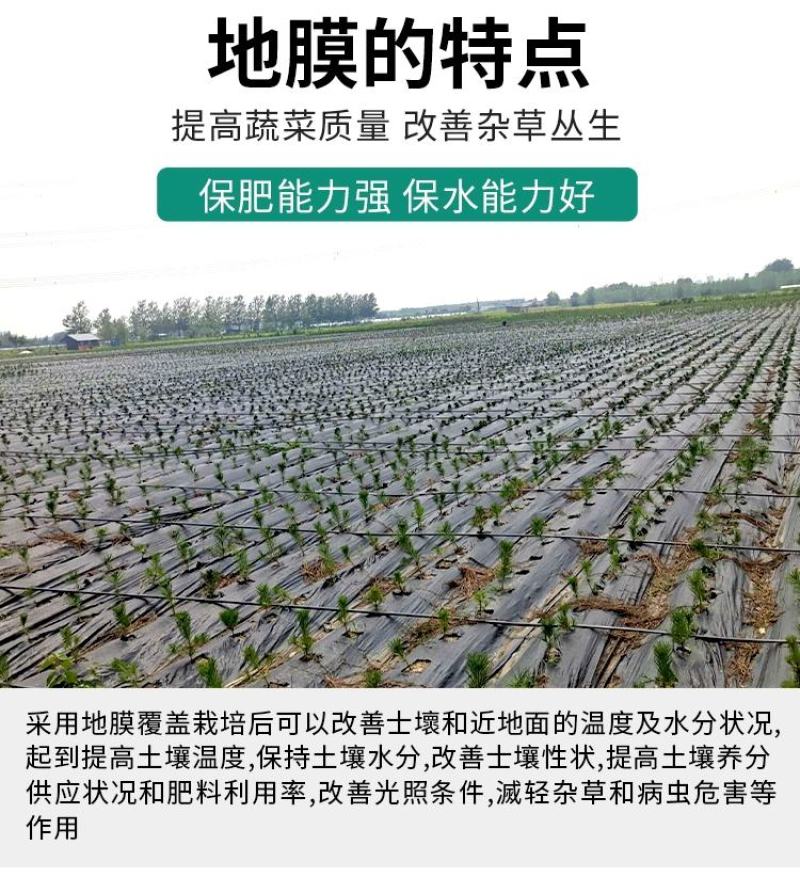 黑色地膜除草膜农用加厚黑膜大棚蔬菜果园保温保湿白膜银黑反