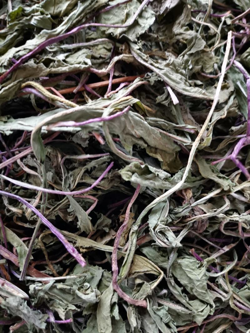 蒲公英婆婆丁新货，现挖鲜菜蒲公英，脱水蒲公英