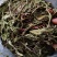 蒲公英婆婆丁新货,现挖鲜菜蒲公英,脱水蒲公英