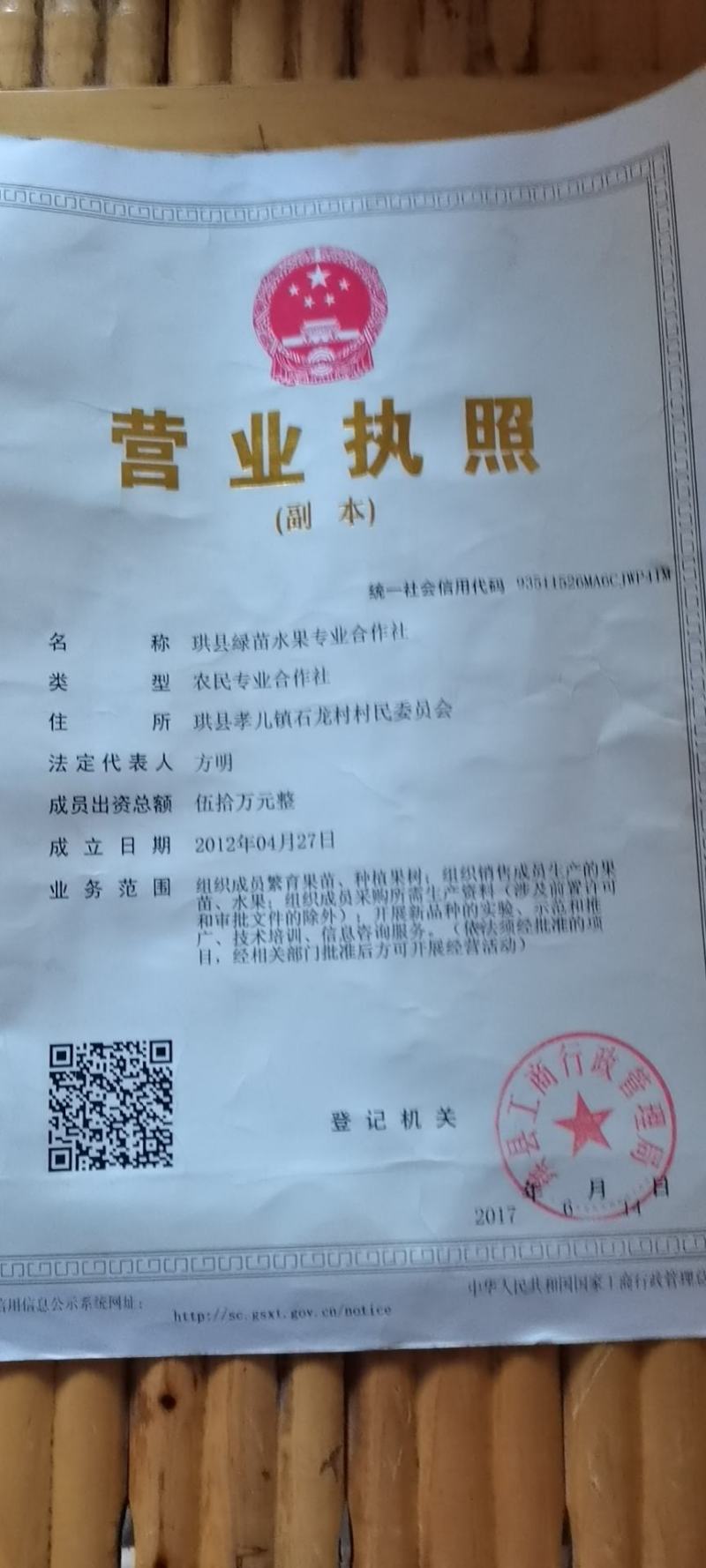 春见杂柑苗，春见耙耙柑苗，晚熟柑橘苗，优质柑橘苗