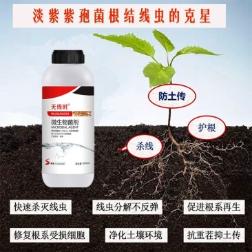 【包邮】根结线虫专用药无线时(全面替代噻唑膦和阿维菌素)