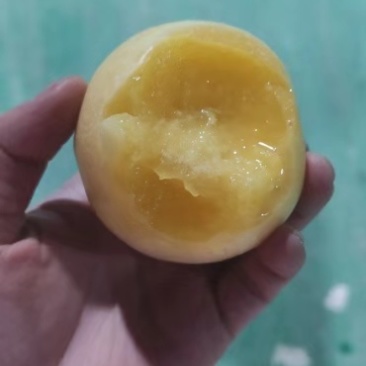 人参果（云南黄圆人参果，水润多汁）我们只发圆果