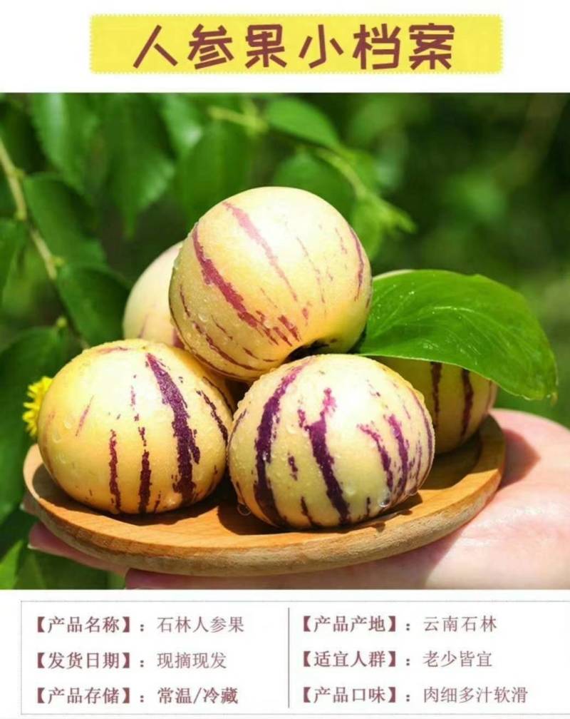 人参果（云南黄圆人参果，水润多汁）我们只发圆果