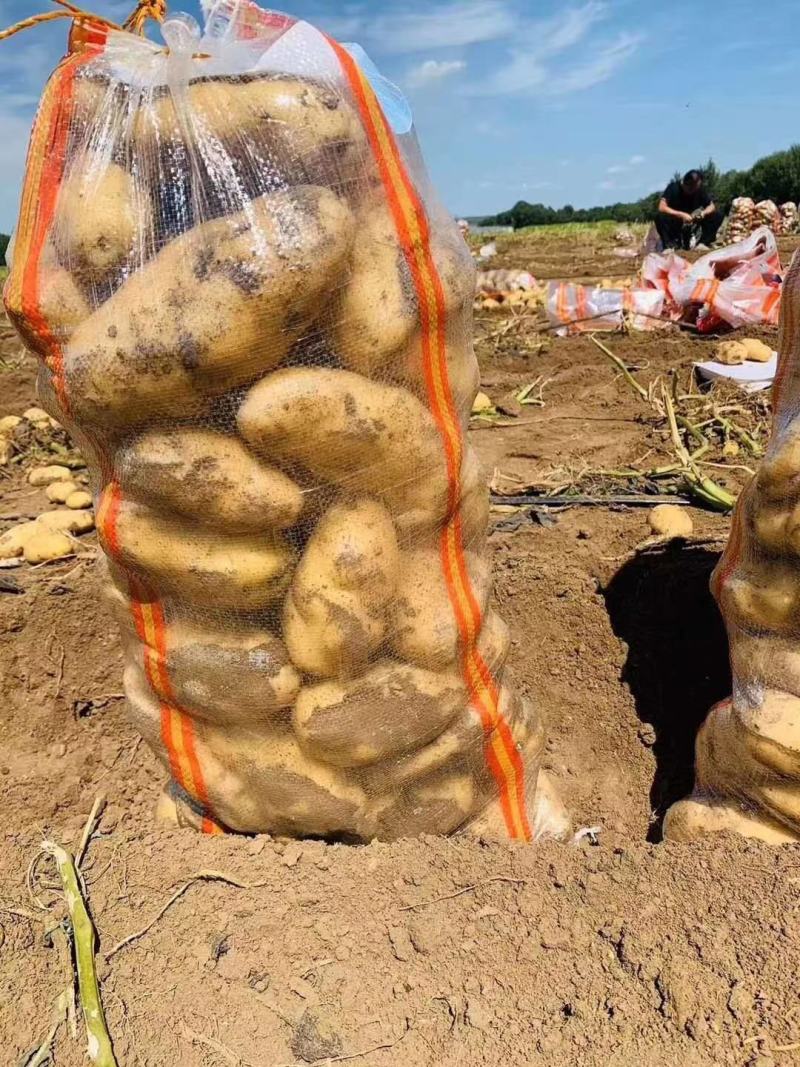 精品沃土，3两以上希深，保质保量诚信经