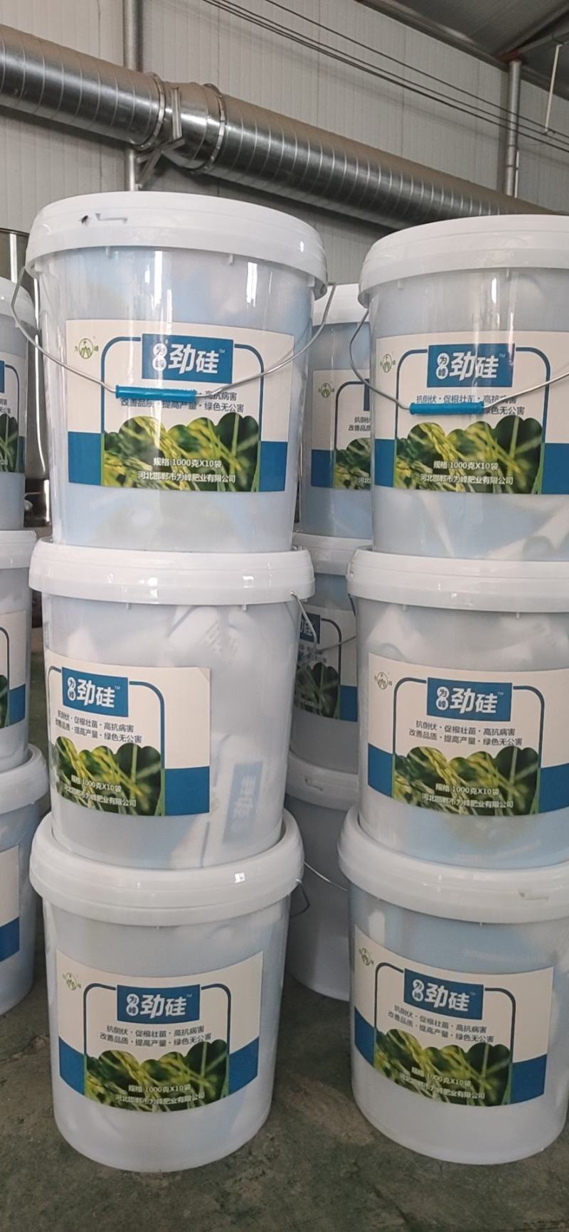 为峰劲硅茎杆粗壮抗倒伏防病防虫增产
