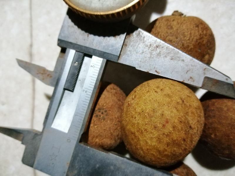 龙眼苗，桂圆苗，富圆苗，石夹桂圆苗，储良桂圆苗，蜀冠桂圆