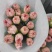 鲜花康乃馨鲜切花云南昆明斗南基地直地一手货源批发