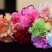 鲜花康乃馨鲜切花云南昆明斗南基地直地一手货源批发