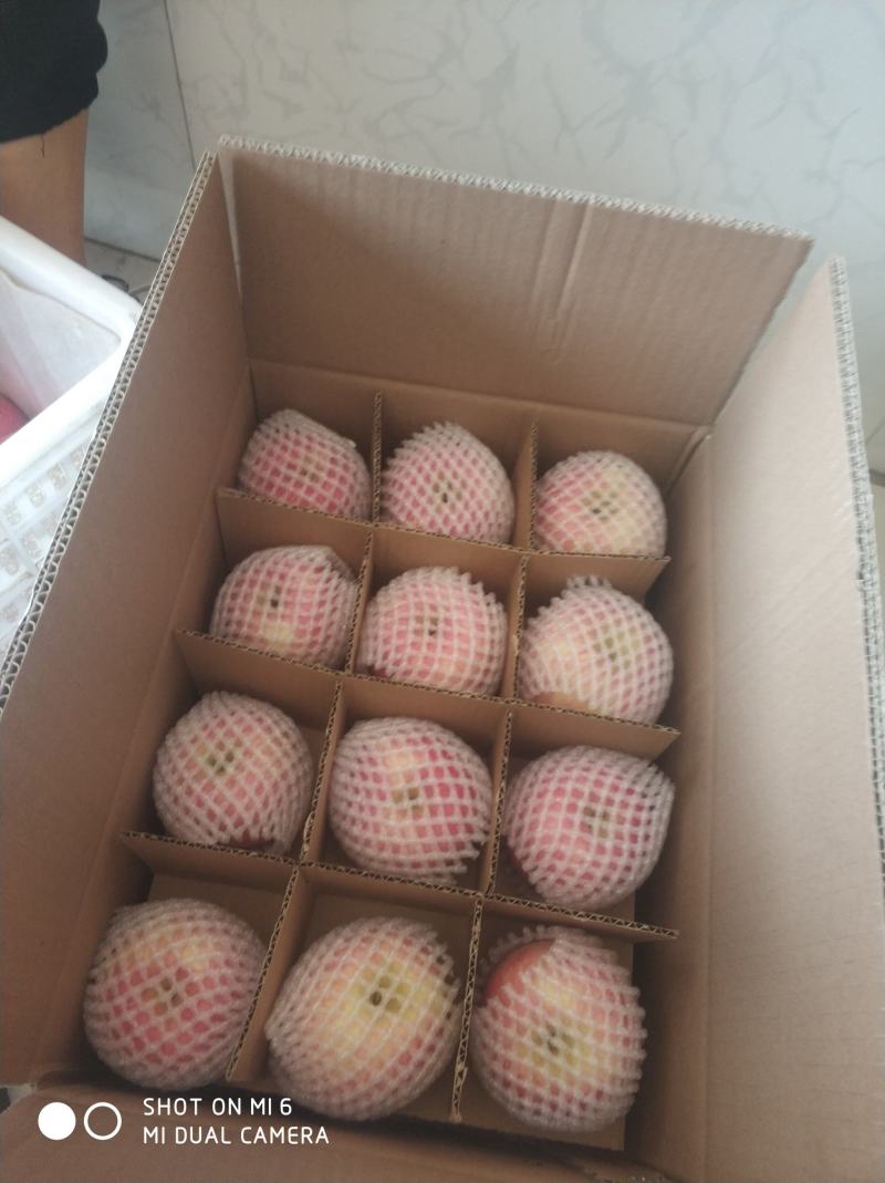 洛川苹果上市品质优秀，不一样的口感，不一样的味道