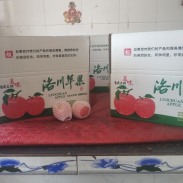洛川苹果上市品质优秀，不一样的口感，不一样的味道