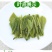 雀舌绿茶2020年峨眉山绿茶银针袋装250g