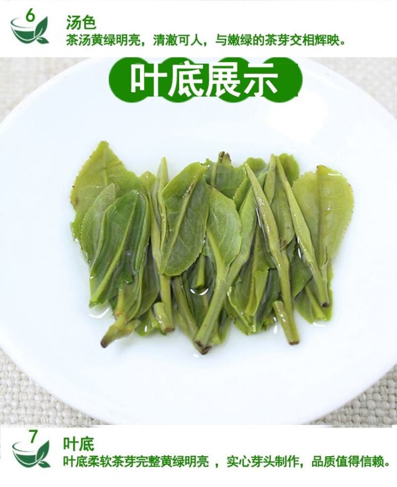 雀舌绿茶2020年峨眉山绿茶银针袋装250g