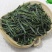 雀舌绿茶2020年峨眉山绿茶银针袋装250g