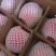 洛川苹果上市品质优秀，不一样的口感，不一样的味道