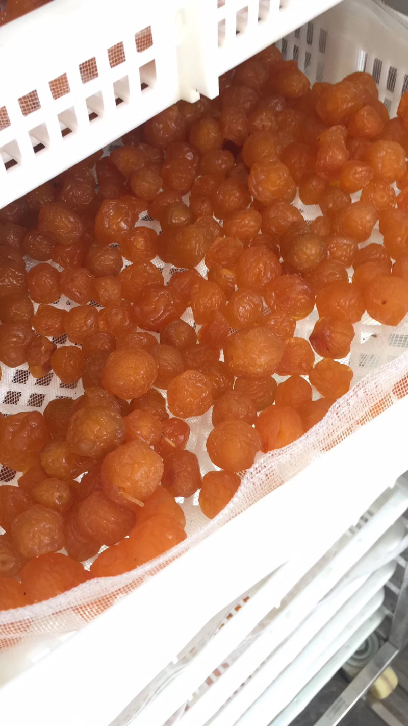包邮情人梅中小个厂家直销量大价优