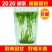 雀舌绿茶2020年明前特级银针茶叶散装