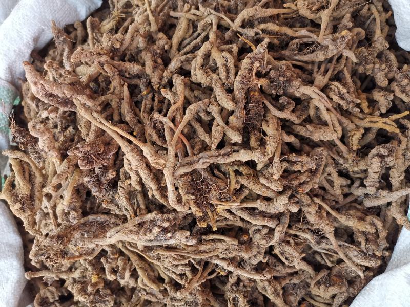 黄连片黄连个鸡爪黄连重庆黄水货产地一手货源可供大货
