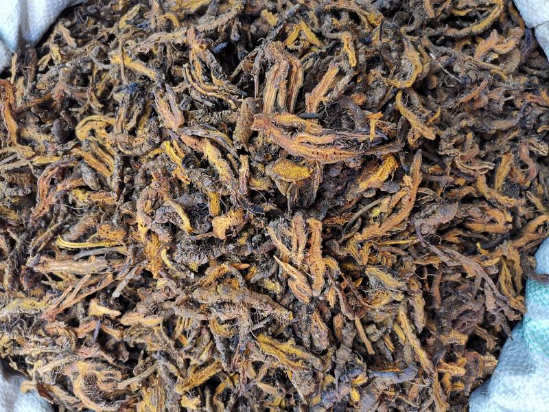 黄连片黄连个鸡爪黄连重庆黄水货产地一手货源可供大货