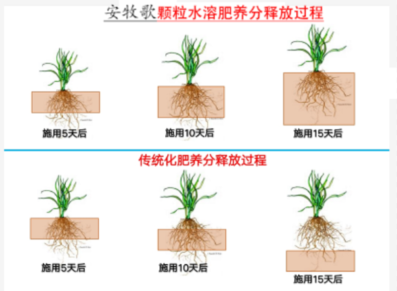 颗粒肥安牧歌多元素螯合大量元素颗粒水溶肥生根膨果肥