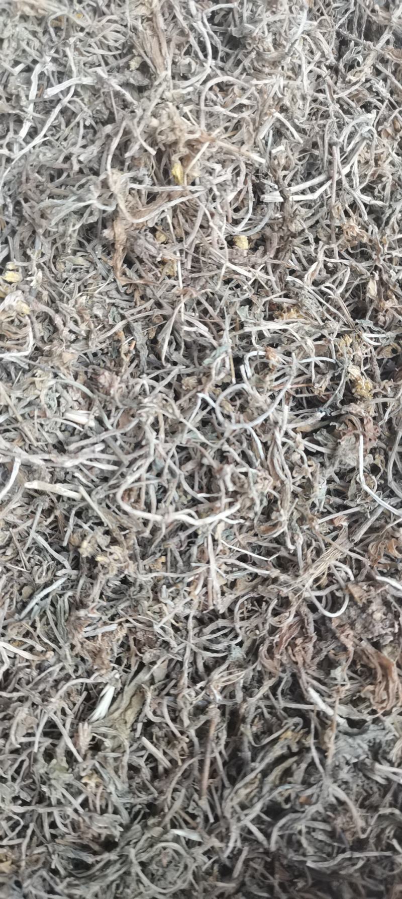 垂盆草干货各种中药材一公斤起批