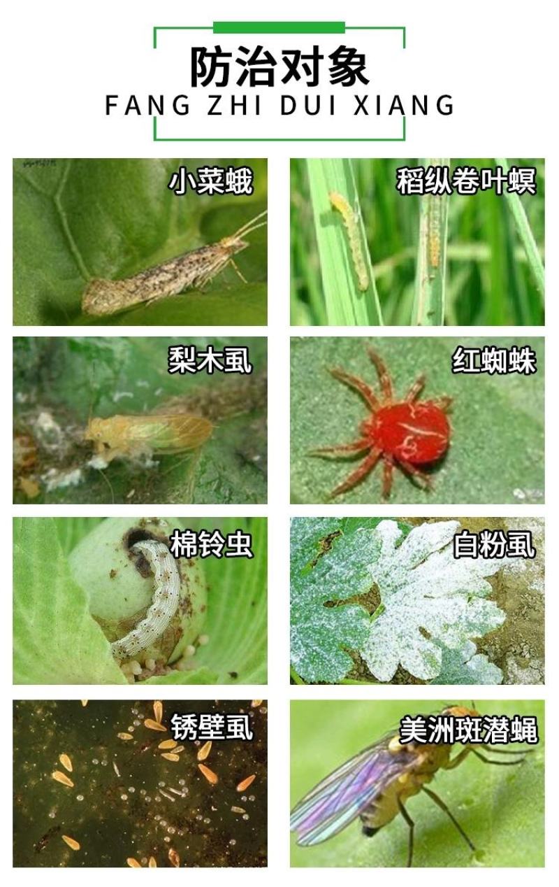 杀虫剂阿维菌素5%中科红蜘蛛小菜蛾200毫升1000毫升
