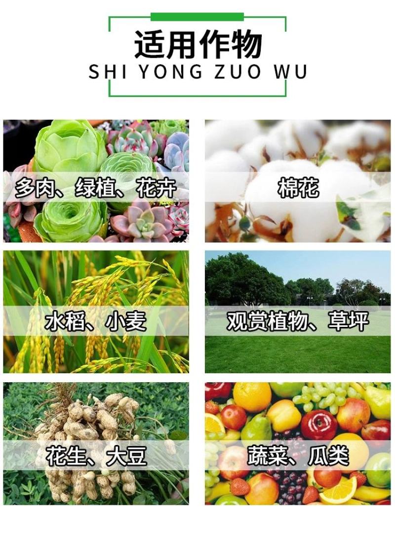 杀虫剂阿维菌素5%中科红蜘蛛小菜蛾200毫升1000毫升