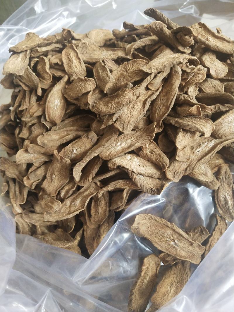 山东牛蒡之乡，优质牛蒡茶