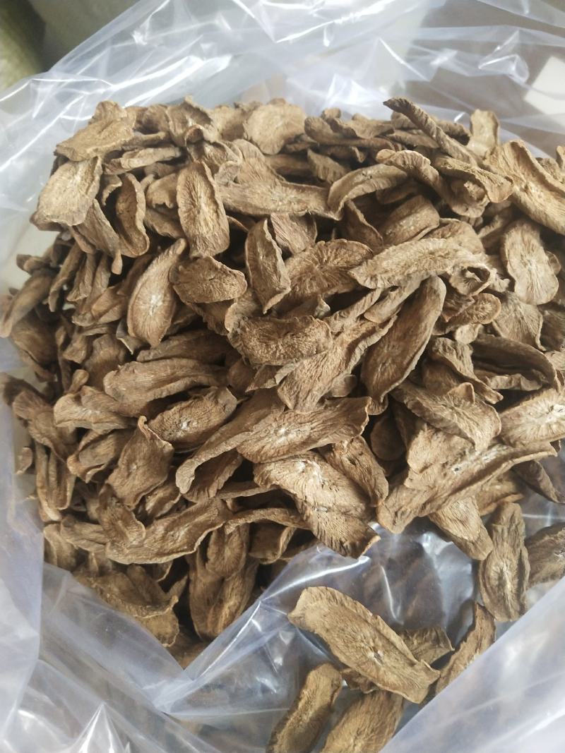 山东牛蒡之乡，优质牛蒡茶