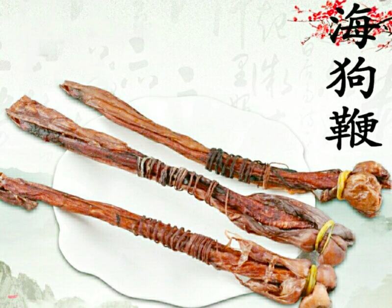 中药材海狗鞭泡酒煲汤男性养生滋补珍品干货包邮