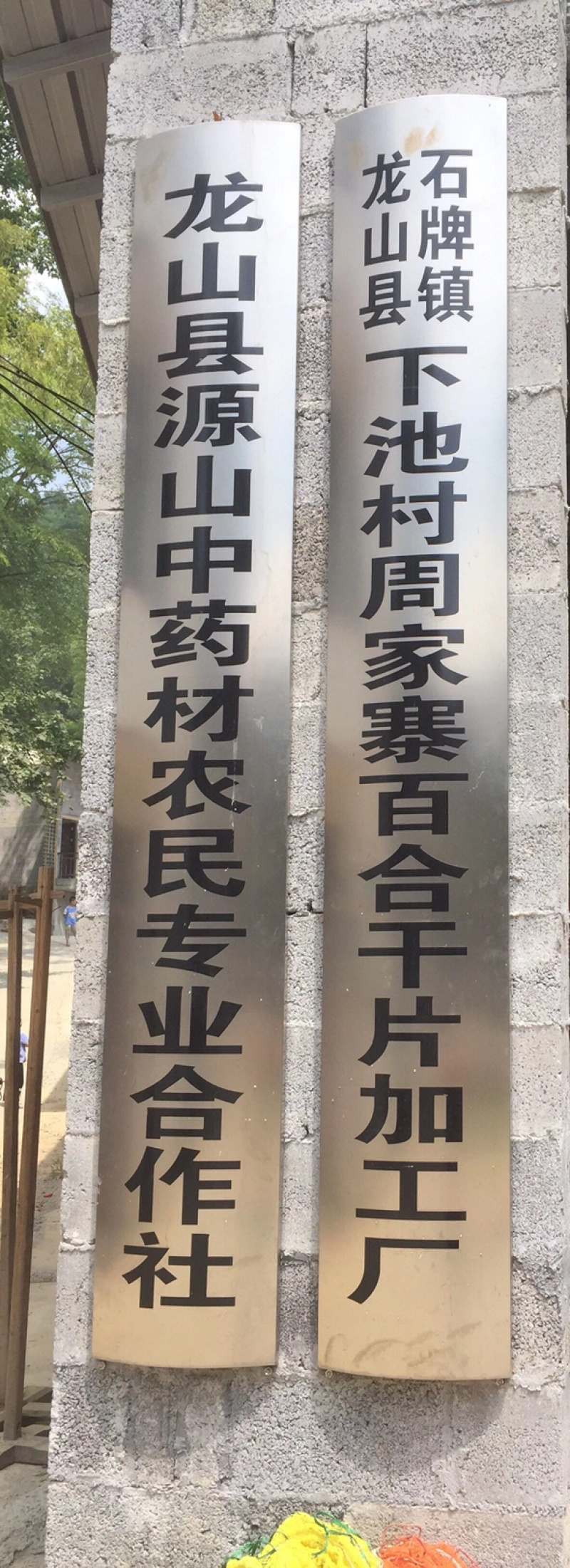 【热卖中】2022百合干片诚信经营