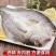 深海白蕉花刀开背海鲈鱼一箱20斤10条16条18条20条