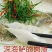 深海白蕉花刀开背海鲈鱼一箱20斤10条16条18条20条