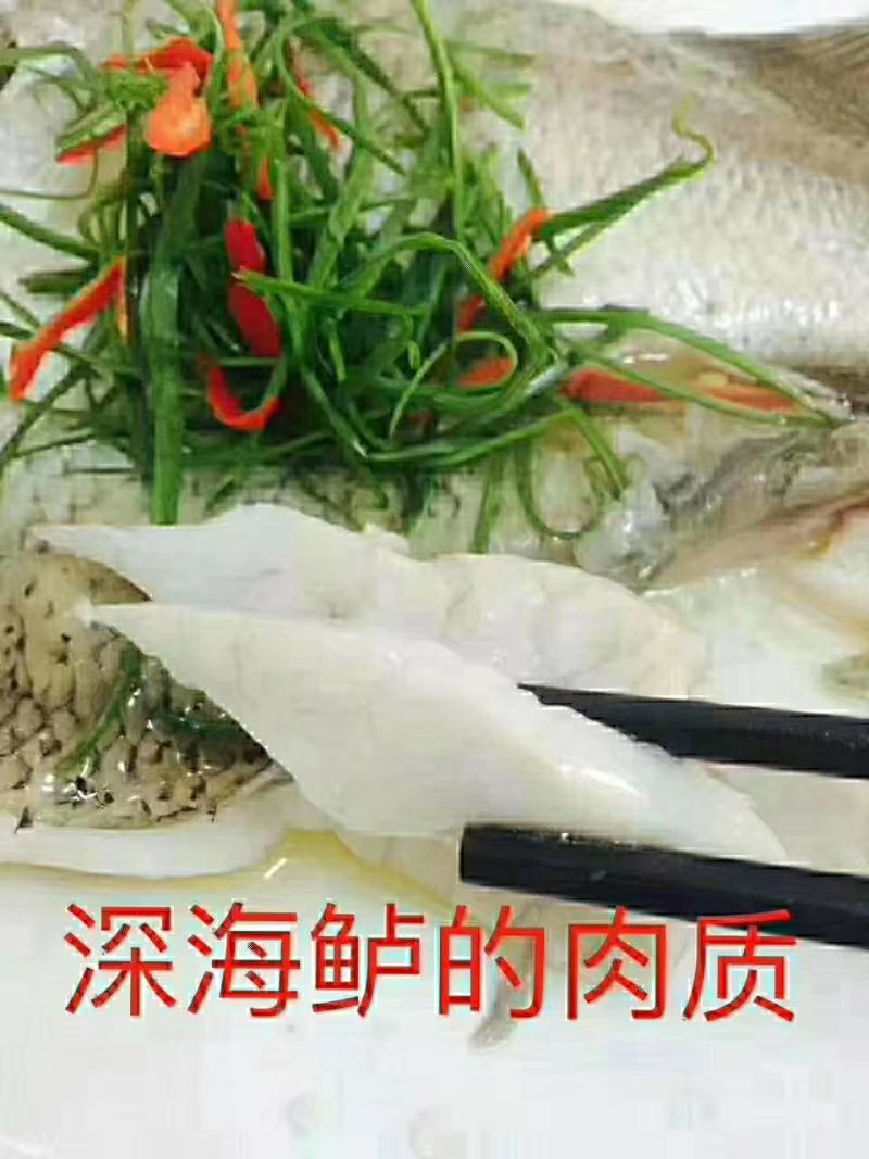 深海白蕉花刀开背海鲈鱼一箱20斤10条16条18条20条