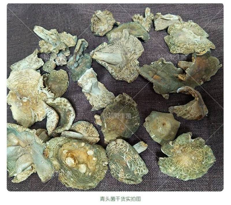 野生青头菌特级干货250g菌类特产蘑菇煲汤材料干菌菇包邮