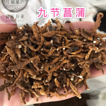 九节菖蒲保庆药业批发节菖蒲实物拍摄