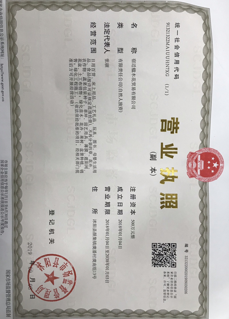 蓝香芥种子